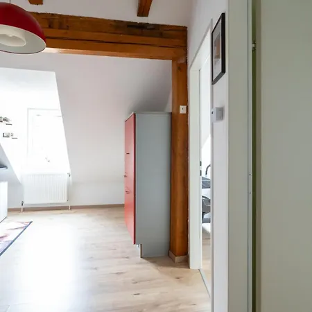 Coy Leoben - Comfortable & Work Smart *