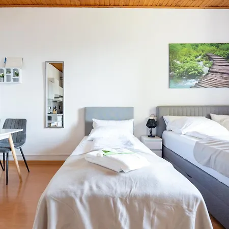 Coy - Comfortable & Work Smart