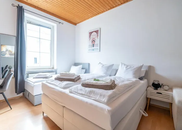 Coy - Comfortable & Work Smart