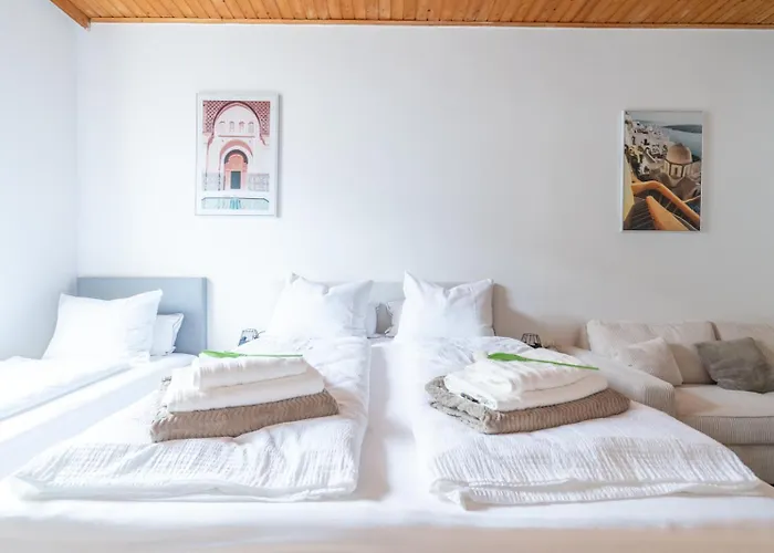 Coy - Comfortable & Work Smart 레오벤