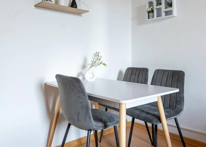 Coy - Comfortable&work Smart