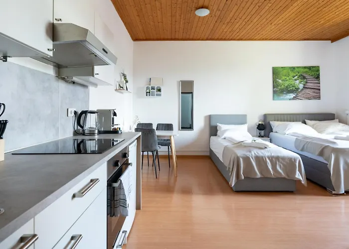 Coy - Comfortable&work Smart * Leoben (Styria)