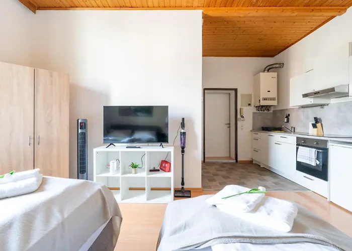 Coy - Comfortable&work Smart Apartment Leoben (Styria)