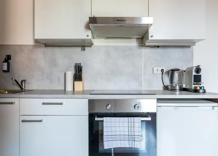 Coy - Comfortable & Work Smart 레오벤