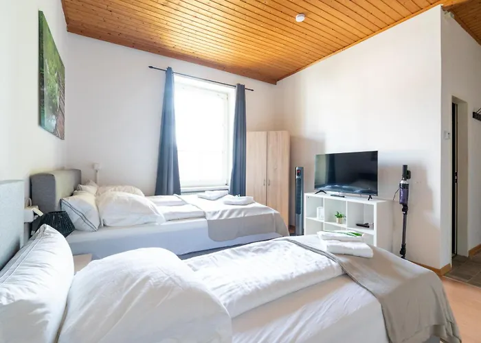 Coy - Comfortable&work Smart Leoben (Styria)